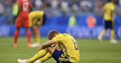 fotboll landslaget vm