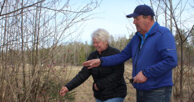 Länge blomstrar och leve Görvälns naturreservat