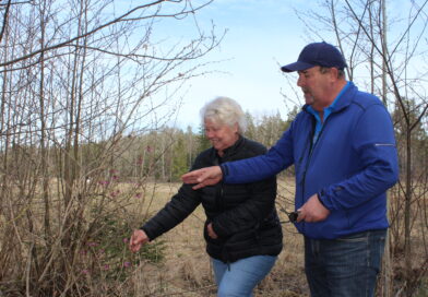 Länge blomstrar och leve Görvälns naturreservat