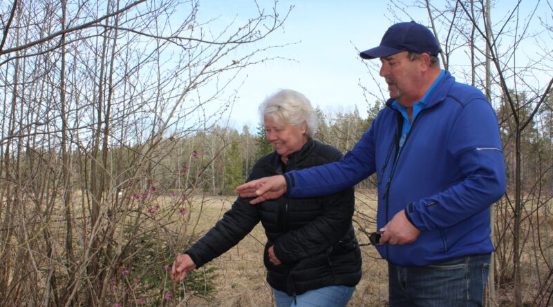 Länge blomstrar och leve Görvälns naturreservat