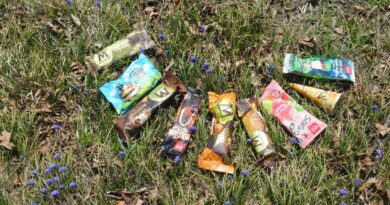 gb glassar, nya glassar, årets glassar, glasstest, vår